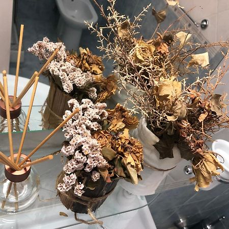 Alloggio Primavera Терни Екстериор снимка
